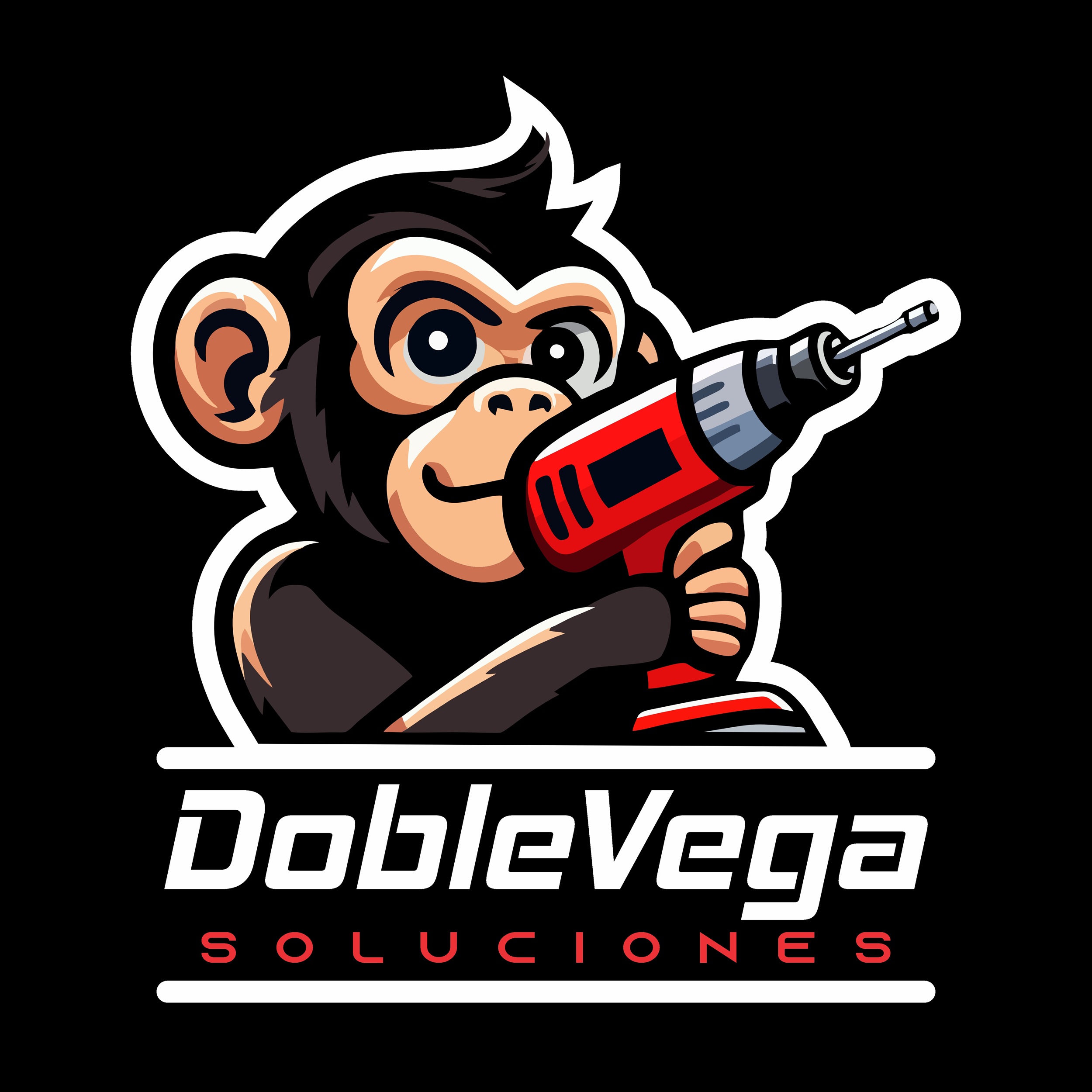 DOBLEVEGA SOLUCIONES